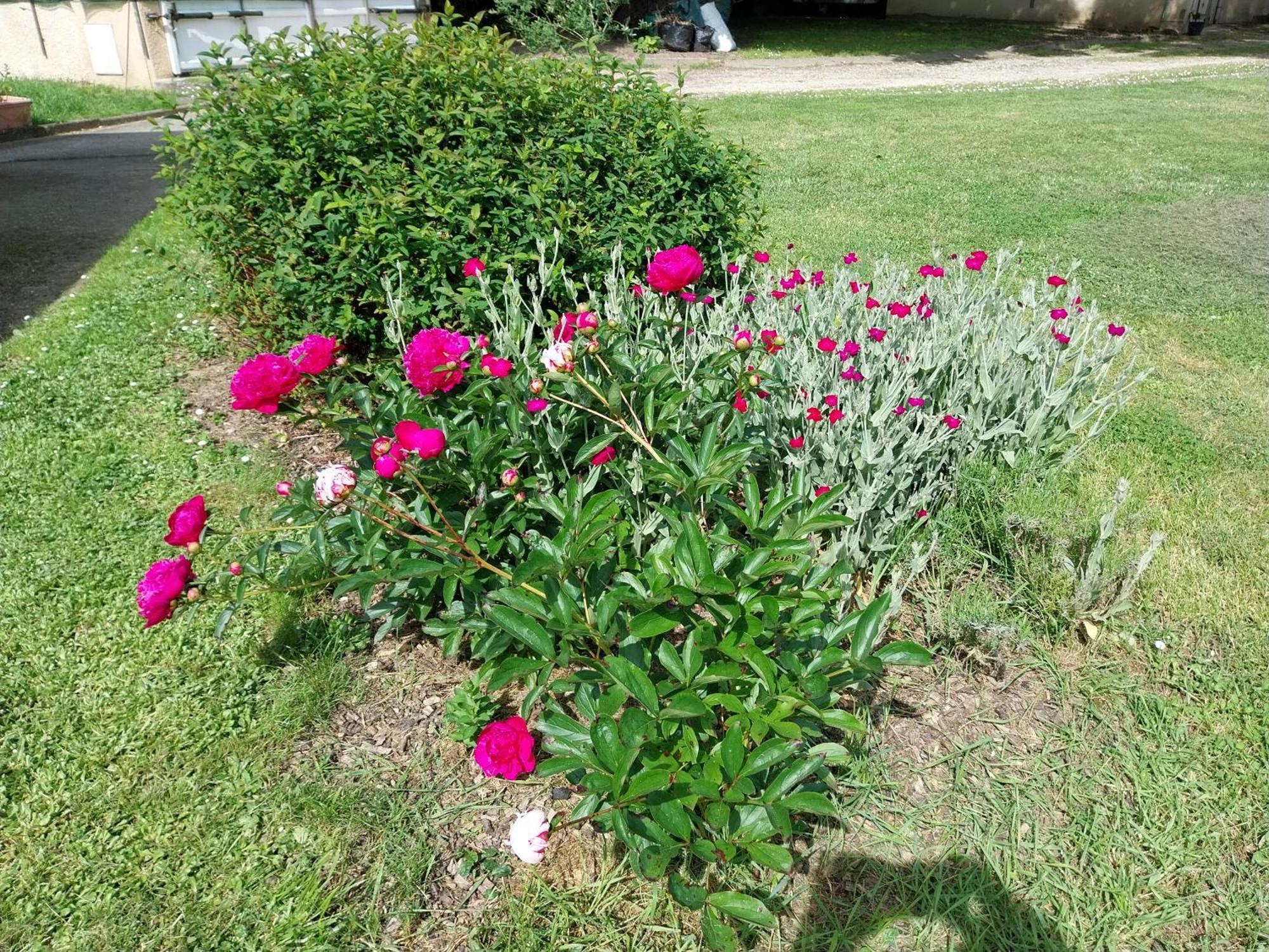 Les Bernus Bed & Breakfast Monfaucon  Bagian luar foto